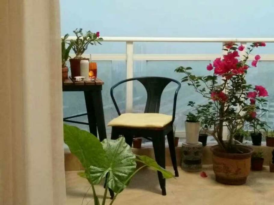观景阳台上的清晨,宁静浪漫。