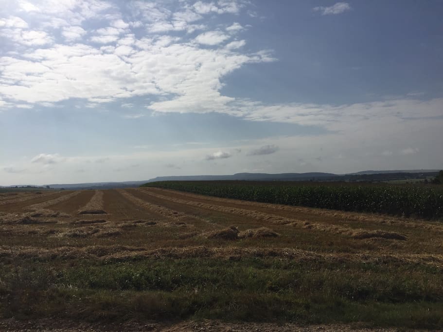 Vue dégagée a 180° tout autour de la maison.