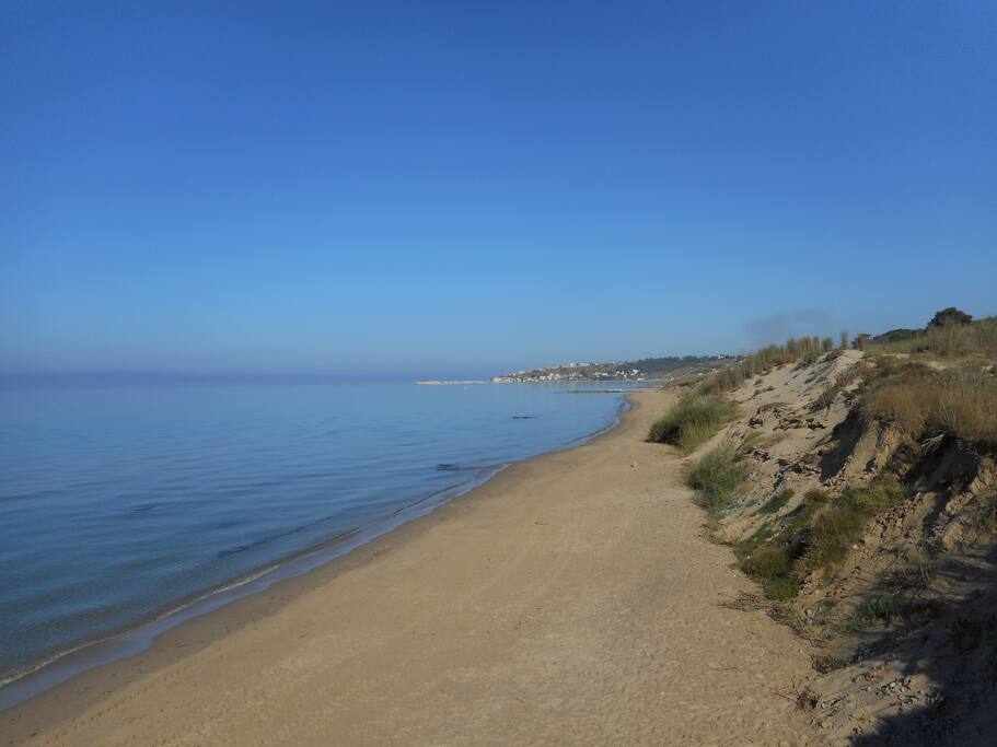 Wunderbar sauberes Meer