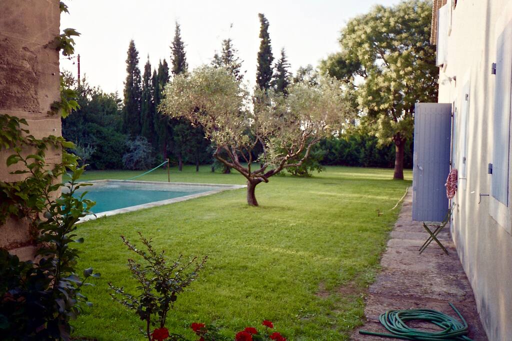 Le jardin (encore!). The garden (again!).