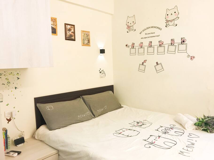BaBy Cat Room ~ So Cute