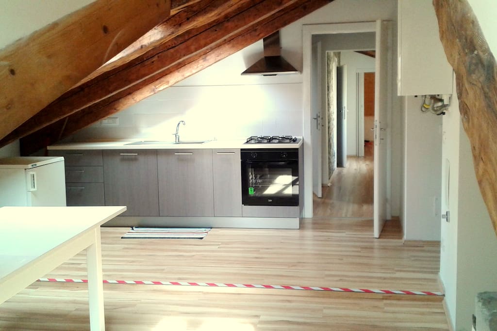 full new kitchen with fridge, dishwasher, plates, table for 12 person