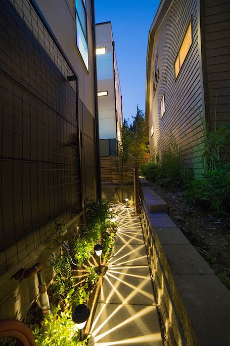 Path to the entrance lit up at night.
