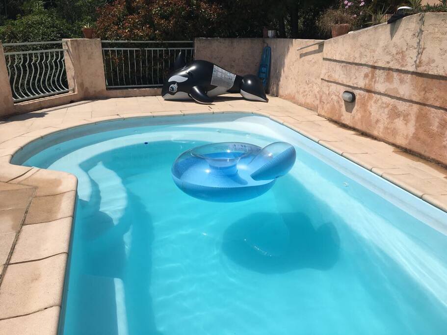 Swimming pool in the garden