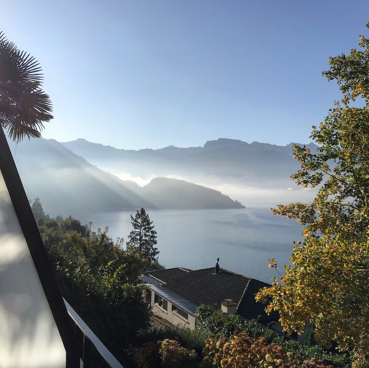 A serene view captures the mist-laden mountains surrounding the tranquil Vierwaldstätter See. Lush greenery and a palm tree frame the scene, while a cozy house sits below, enhancing the natural beauty of the peaceful landscape.