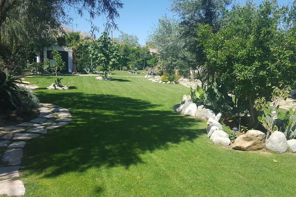 South yard