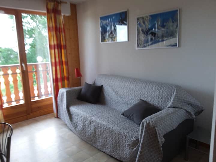 Studio Fonctionnel Entre Ciel Et Lac - Bernex