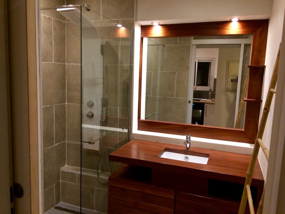 Salle de bain
1 vasque
1 douche à l'italienne avec 3 fonctions (eau en cascade, hydromassage et douche classique)