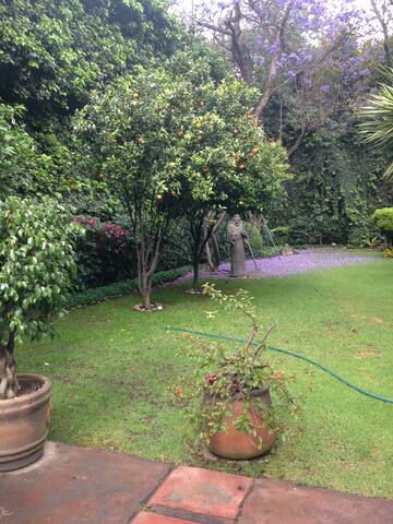 Beautiful House in Chimalistac/Amazing Garden gallery image 3