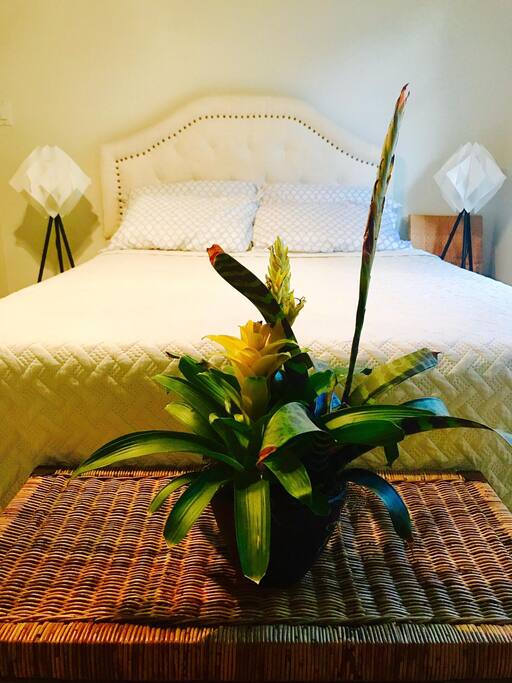 Rest and soak in absolute comfort with a Tempur pedic memory foam mattress...room lighting and ambiance is conducive to let u rest and relax...fits 2-3...