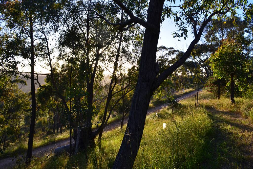 Morning rays on the spiral driveway