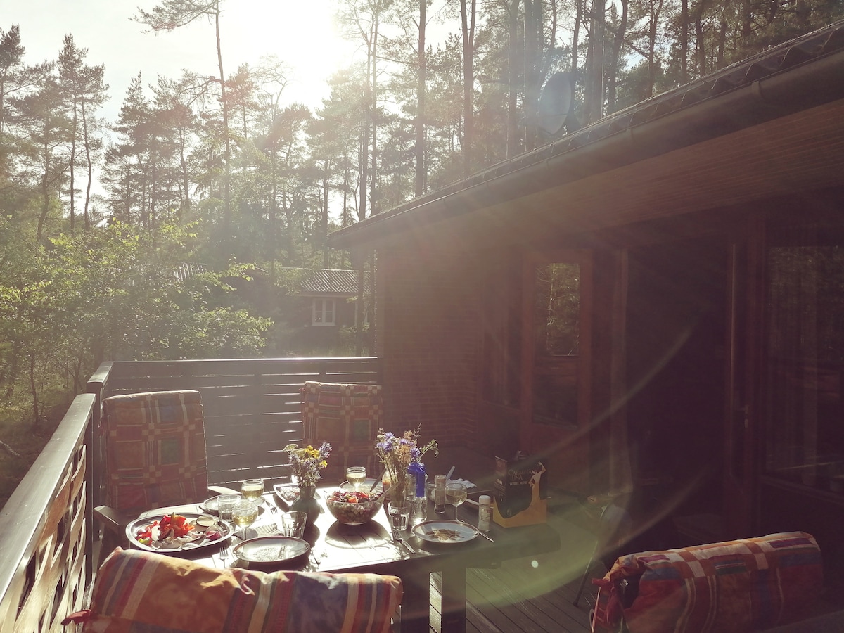 A south-facing terrace is set with a table displaying various dishes and flowers, surrounded by colorful cushioned chairs. Sunlight filters through trees, creating an inviting scene in a tranquil forest setting.
