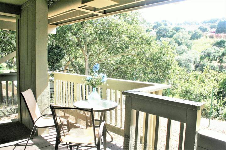 Rooms For Rent Near Salinas Ca Rooms For Rent Near Salinas Ca