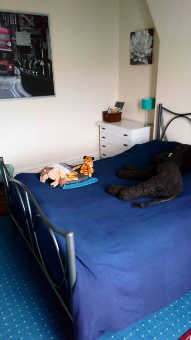 The bed