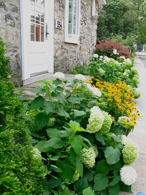 Beautiful garden on a small street