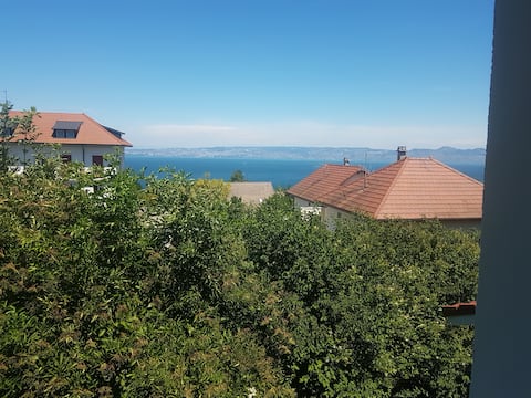 Villa with 3 bedrooms Evian-les-Bains