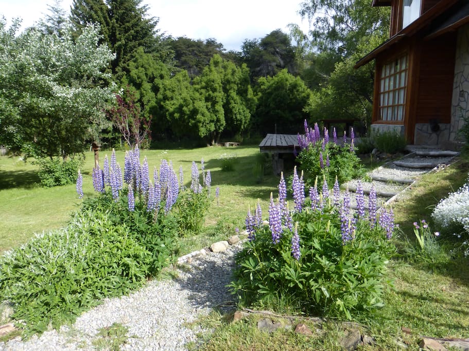 Entrance & garden