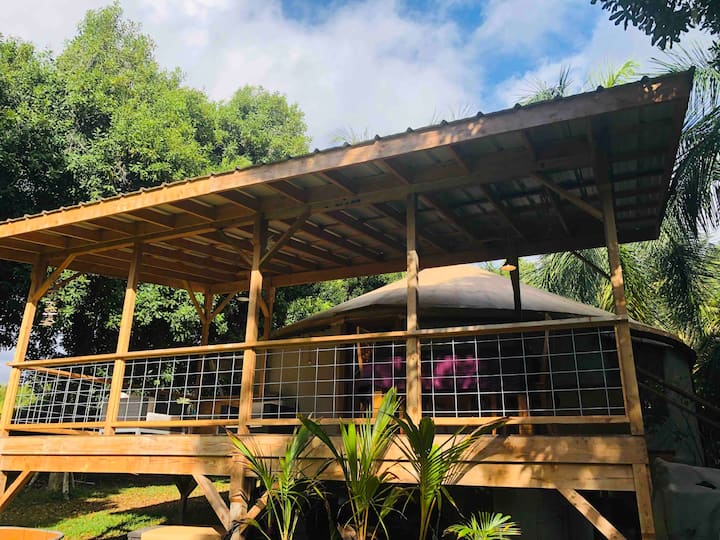 Maluhia Macadamia Nut Kona Farm Yurt captain cook Farm stays for Rent