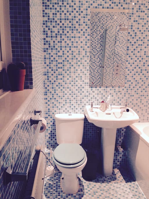 The bathroom