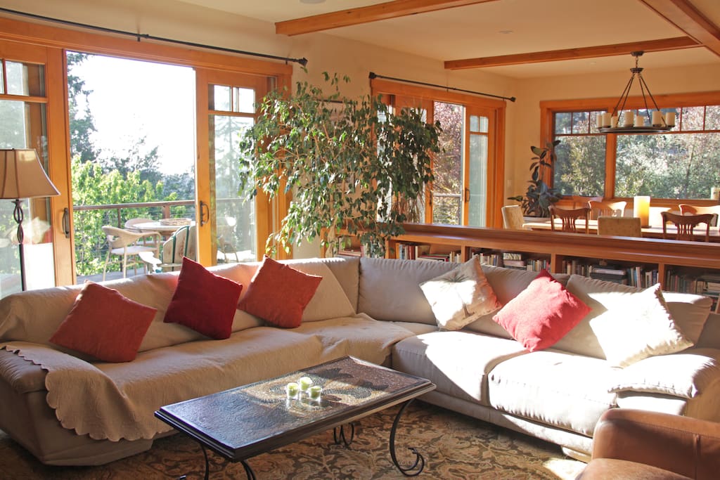 Main floor living room with lots of light and windows.