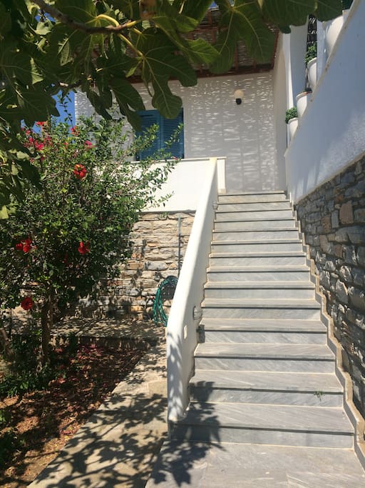 Terrace entrance stairs