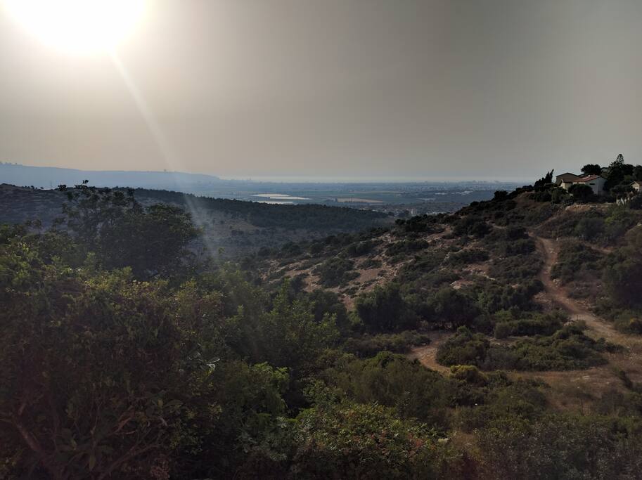 View
