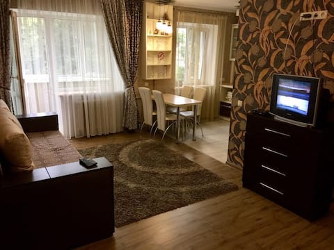 Two-room studio apartment (in the city center)