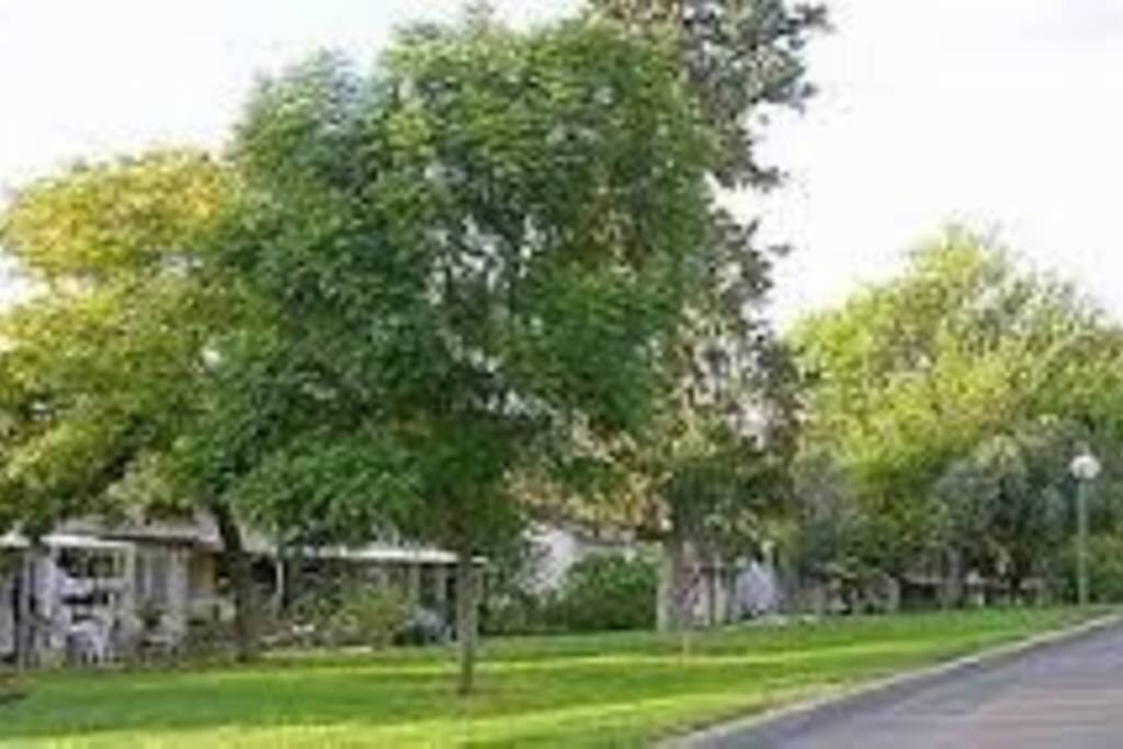 The street near the house
