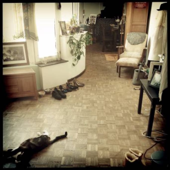 Entrance of the apartment ( kitchen is on the left ), with my cat Kina laying on the floor :)