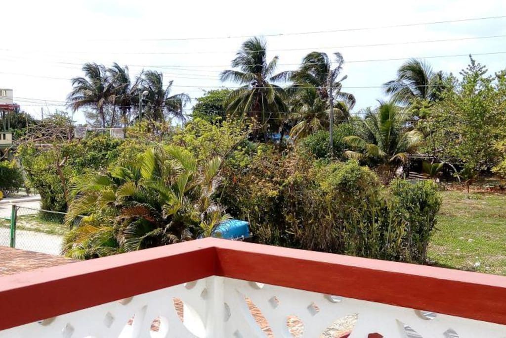 Vista desde la terraza