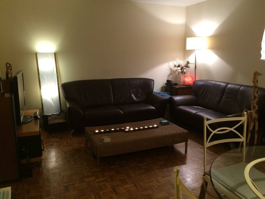 Salon with large HD cable TV & Wi-Fi internet connexion