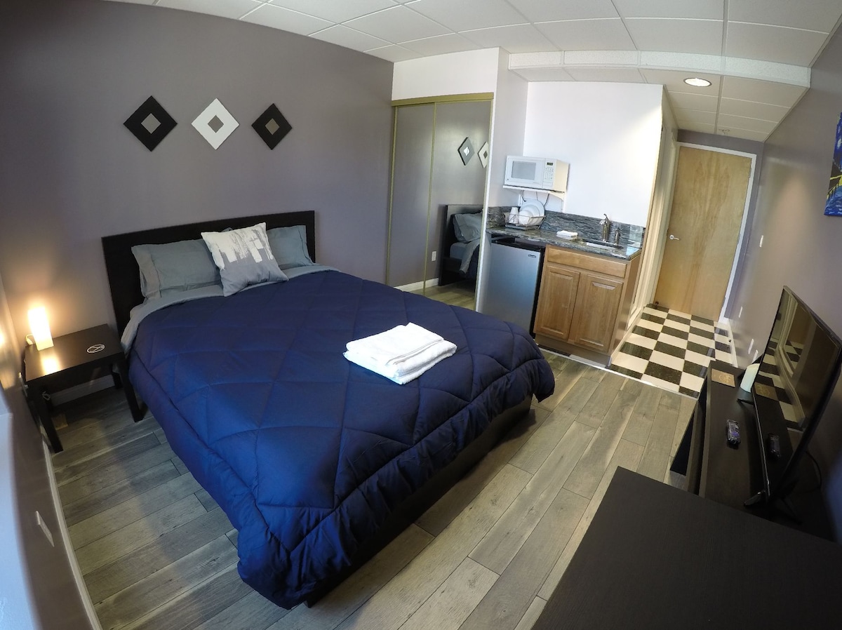 A modern studio apartment features a spacious bed covered with a dark quilt. A small kitchenette with cabinets and appliances is visible in the corner, alongside a television facing the bed. The room is finished with light wood flooring and a sliding mirror closet.