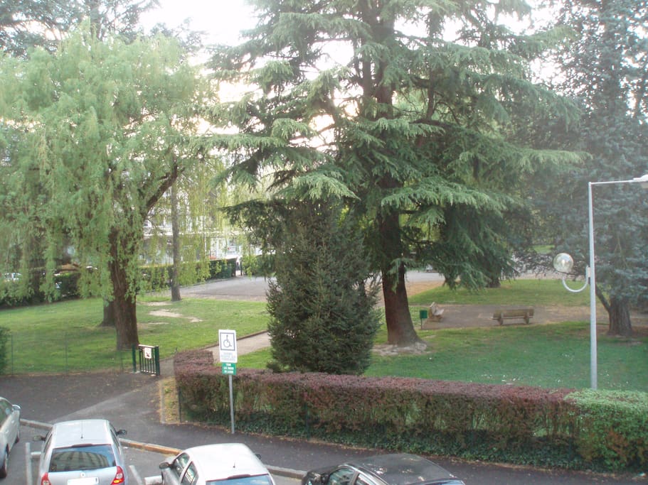 Salon : vue sur le parc
