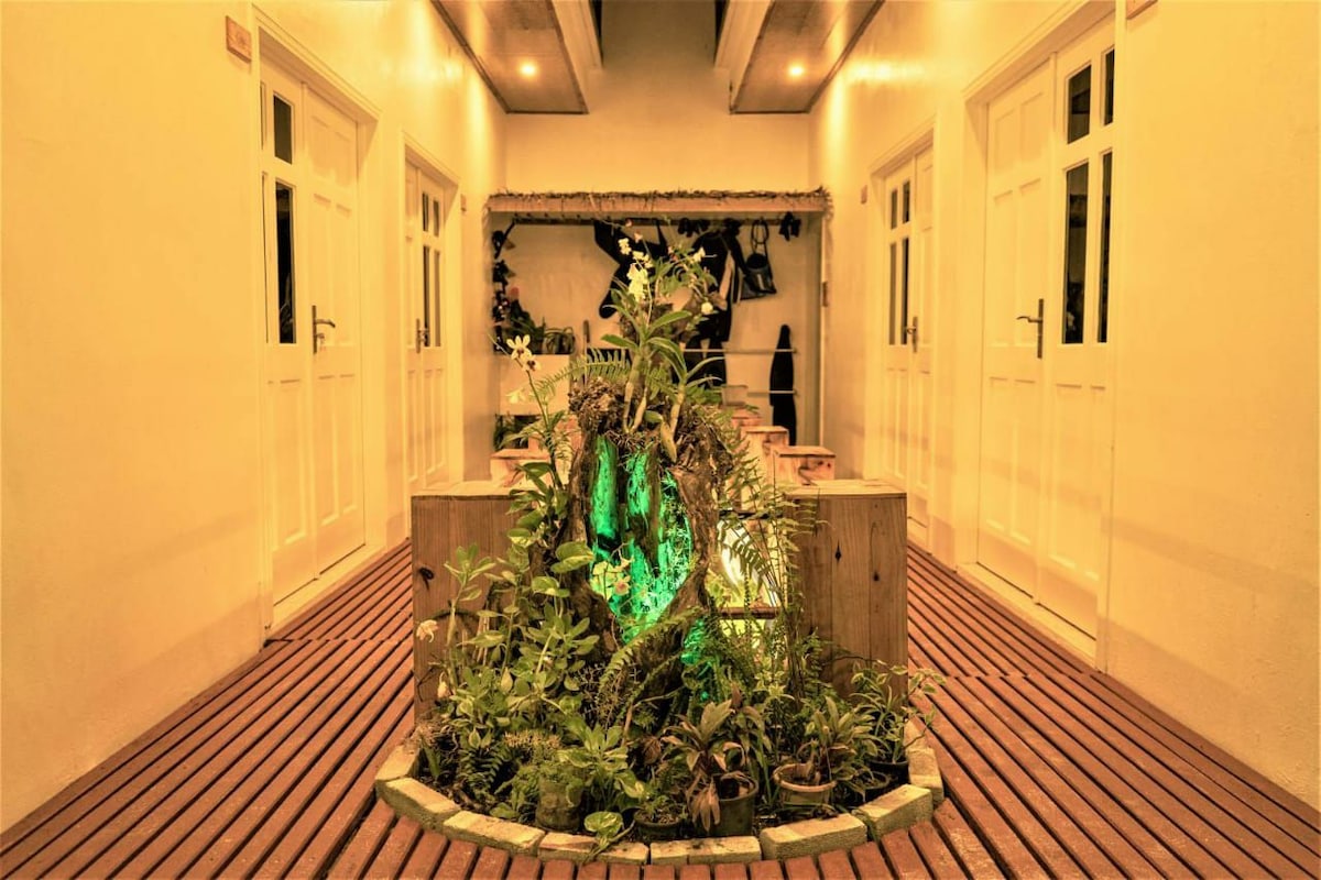 An indoor corridor features light wood flooring with a central garden area displaying various plants. Soft green lighting enhances the lush greenery. Simple white doors lead to private rooms on either side, contributing to a modern and inviting atmosphere.