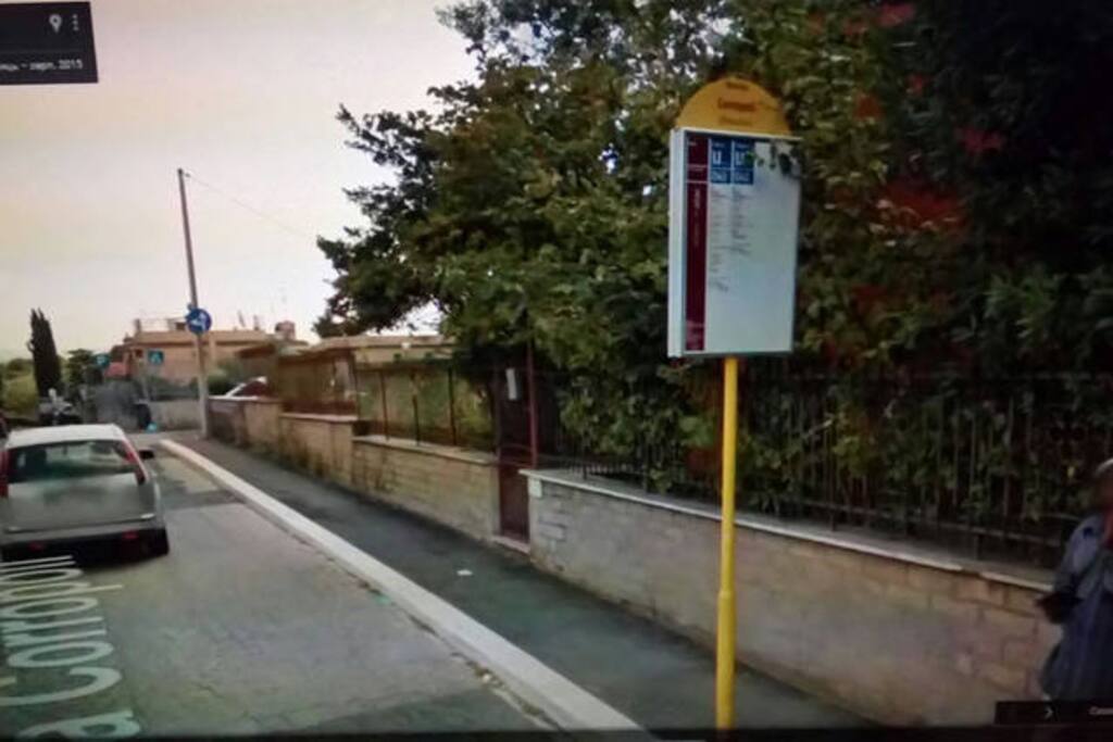 the bus stop near my home