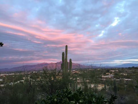 Successful Airbnb property: Excellent Tucson Location in Tucson Mountains