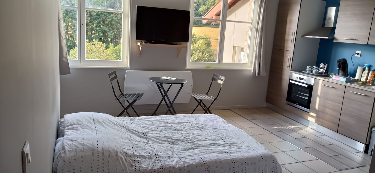 A bright living space features a spacious bed covered with a light-textured blanket. Two folding chairs and a small table provide a dining area. Large windows allow for natural light, and a kitchen area is visible, equipped with modern appliances and a flat-screen TV mounted on the wall.