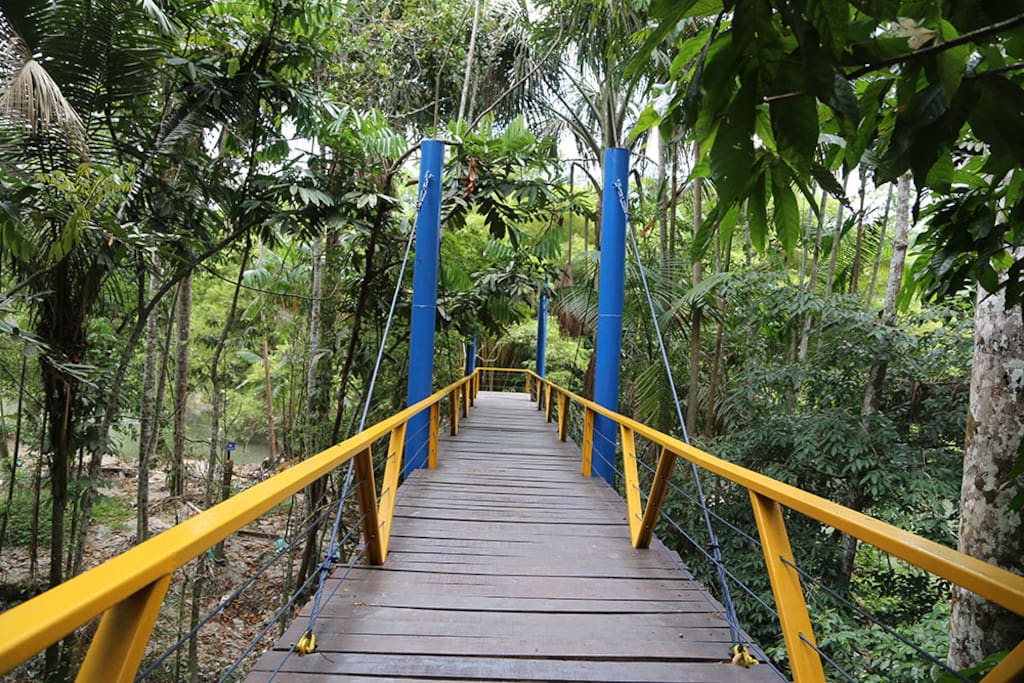 Parque do Mindu