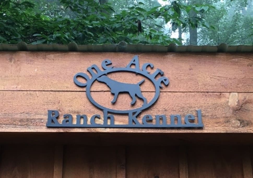 Living it Ranch style