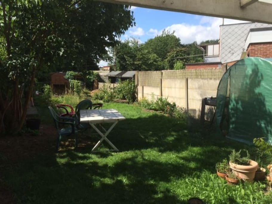 Garden