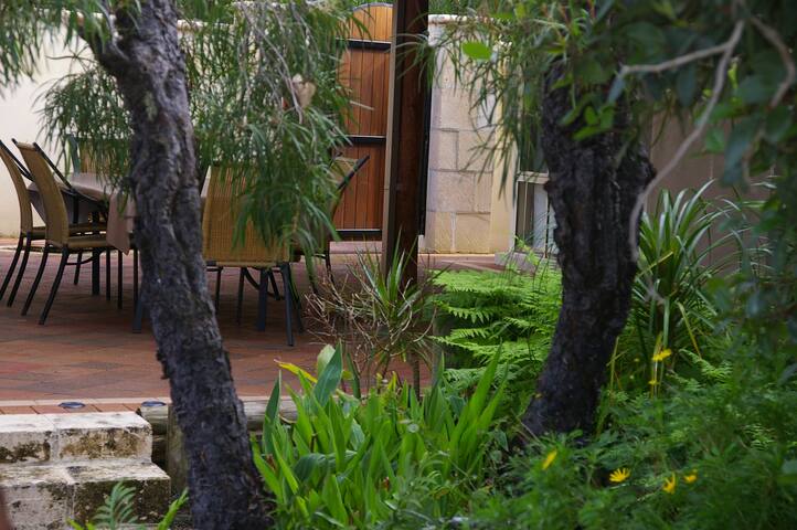 The Zanthoreas gallery image 2