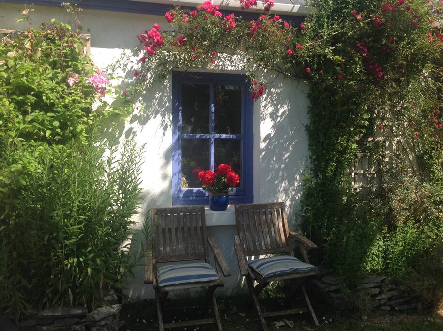 Roses round the windows