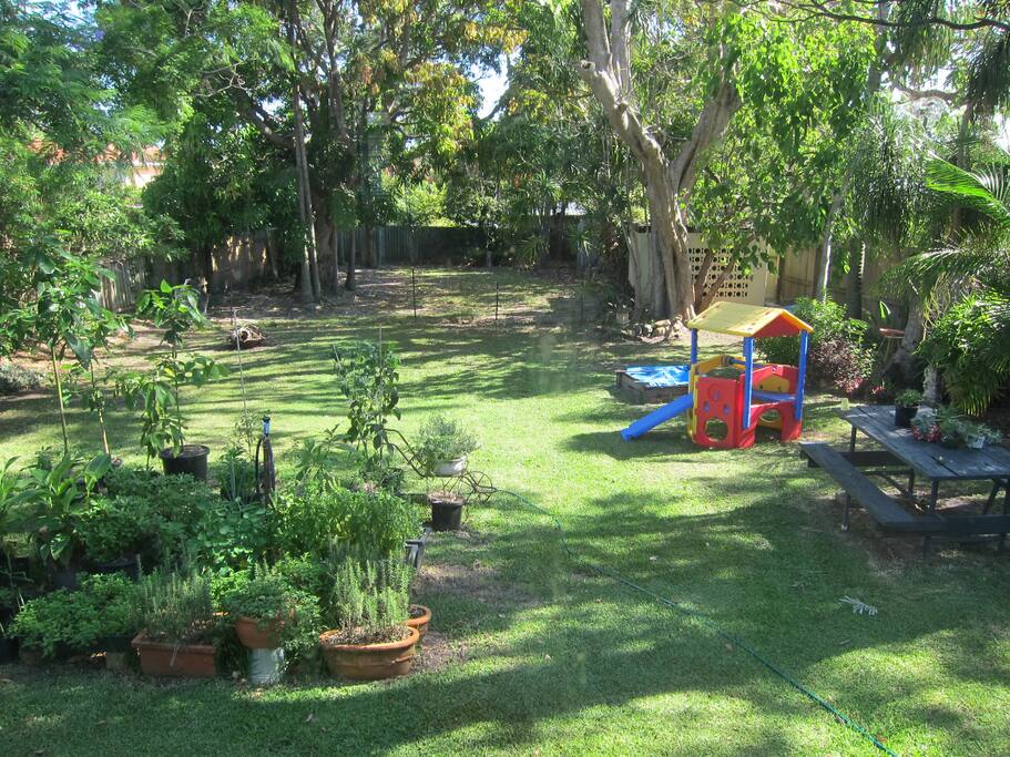 Shady garden