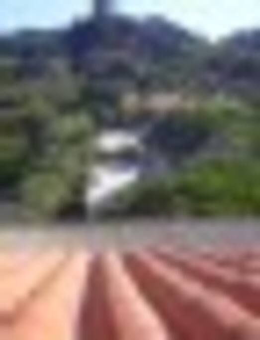 Giardino posteriore