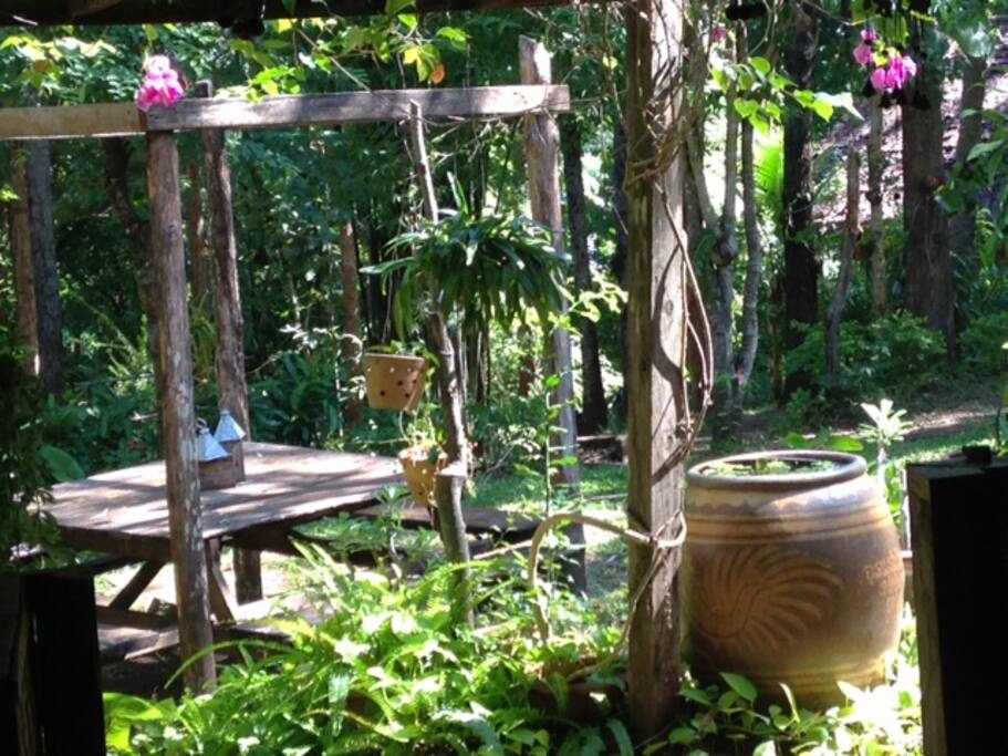 View of garden from communal dining table