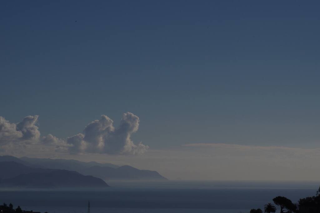 Vista