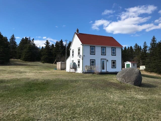 Vacation Rentals Homes Experiences Places Airbnb