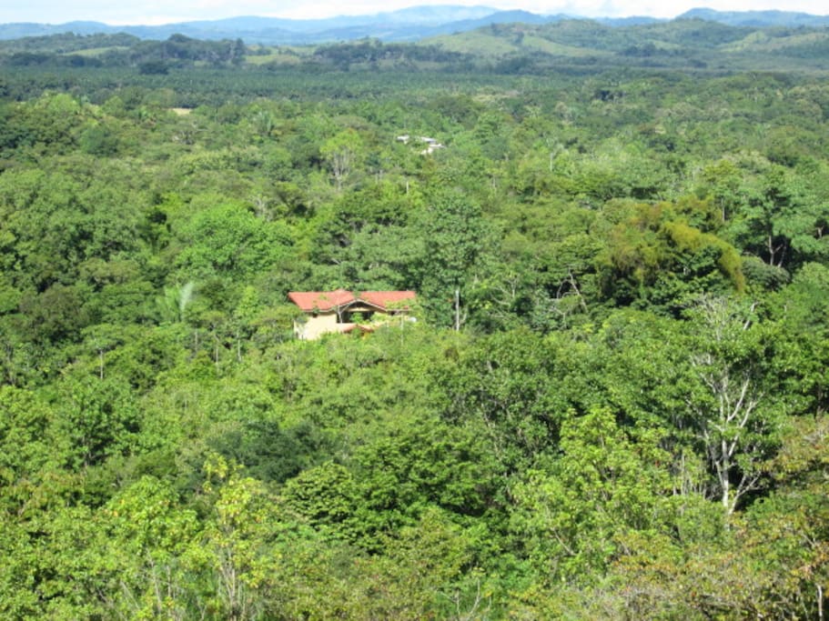 Privacy in the rainforest...all this and Wifi too!
