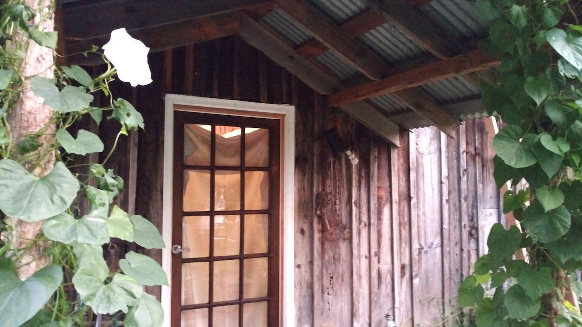 An entrance to the barn loft is framed by rustic wooden walls and overhanging greenery. A glass-paneled door with a white frame offers a glimpse into the space, while a light-colored curtain is visible through the door, suggesting a warm interior.