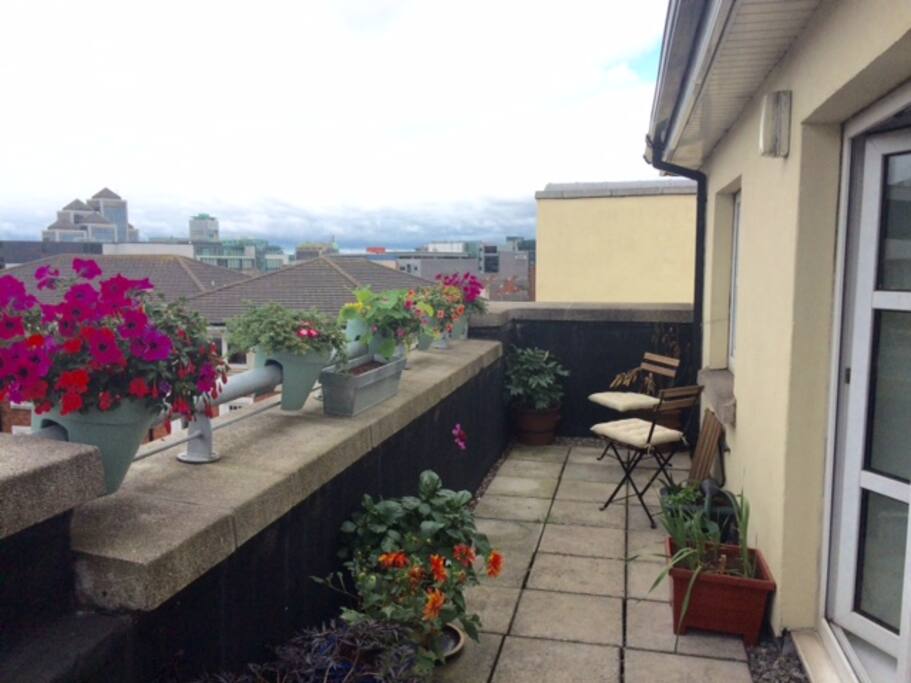 Outdoor terrace
